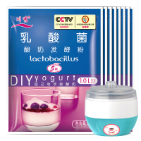 乳酸菌酸奶发酵菌粉益生菌酸奶机家用酸奶菌发酵剂自制酸奶粉 80小包酸奶菌粉+酸奶机1台