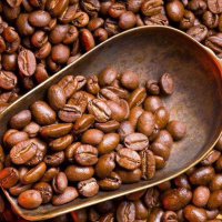 特浓咖啡豆新鲜烘焙意式浓缩特浓精品无糖黑咖啡粉云南咖啡豆 1000克咖啡豆