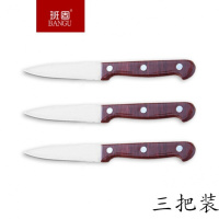 不锈钢水果刀厨房家用削皮刀具宿舍小型刀子厨师切片刀刻刀 水果刀3把