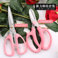园艺花艺剪刀专业插花多功能宽头家用修花剪花店专用修花花艺剪子 501粉花枝剪+k16粉强力剪
