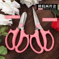 园艺花艺剪刀专业插花多功能宽头家用修花剪花店专用修花花艺剪子 501花枝剪粉+504花枝剪粉