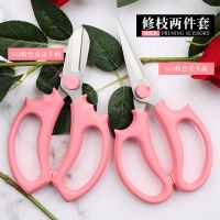 园艺花艺剪刀专业插花多功能宽头家用修花剪花店专用修花花艺剪子 502花枝剪粉色+504花枝剪粉