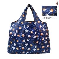 大容量可折叠便携超市环保袋购物袋轻防水买菜包手提袋单肩旅行包 H111 2个大号