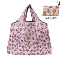 大容量可折叠便携超市环保袋购物袋轻防水买菜包手提袋单肩旅行包 H113 1个中号