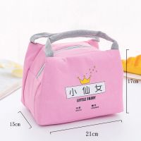 加厚铝箔保温袋便当袋帆布大号带饭的手提袋手拎防水饭盒袋保温包 新款-小仙女[带铝膜层]