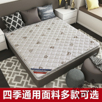 床垫棕垫椰棕偏硬乳胶儿童1.8m1.5米1.2薄折叠棕榈床垫定做
