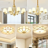 2020年新款简约现代led全铜灯时尚大气客厅吊灯温馨浪漫卧室吸顶灯创意书房厨房灯北欧个性新款套餐组合