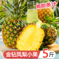 星派果海南金钻凤梨小果带箱5斤4-5个装新鲜当季水果香水菠萝特产[第二件减10元]