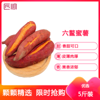 新派果严选正宗福建六鳌5斤沙地蜜薯糖心红薯新鲜番薯