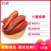 新派果严选正宗福建六鳌5斤沙地蜜薯糖心红薯新鲜番薯