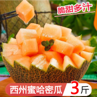 星派果海南西州蜜瓜3斤哈密瓜1个装新鲜一箱当季应季水果整箱哈密瓜网纹瓜[拍2件送1件,共发9斤]