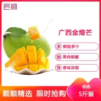 星派果广西金煌芒5斤装单果100g起 应季鲜果爽口多汁热带水果芒果