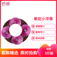 星派果洋葱3斤装12-15个新鲜扁甜味微辣农产品蔬菜[拍2件送1件,共发9斤]