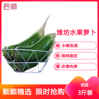 星派果正宗潍坊水果萝卜3斤装单个150g+甜脆水果型沙窝萝卜新鲜蔬菜[拍2件送1件,共发9斤]