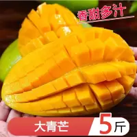 星派果大青芒3/5斤单果300g+应季新鲜水果超甜大芒果[拍2件3斤送1件,共发9斤]