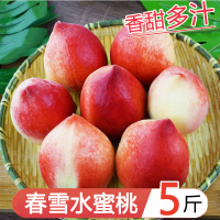 星派果陕西水蜜桃/3/5斤脆桃应当季整箱水密桃冬桃