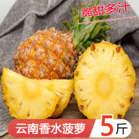 星派果云南香水菠萝3/5斤装新鲜水果当季带皮手撕凤梨金钻波萝整箱[拍2件3斤送1件,共发9斤]