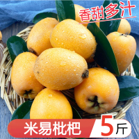 星派果米易枇杷带箱3/5斤装新鲜孕妇水果五星琵琶果现摘当季整箱顺丰