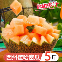 星派果海南西州蜜哈密瓜5斤装当季新鲜水果香甜脆蜜瓜