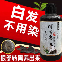 两瓶[发根持续变黑] [优先发货]何首乌当归人参中药洗发水防脱固发黑发养发护发清水洗白发