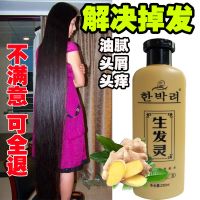 三瓶生发灵(一疗程) [优先发货][正品防伪]生发灵生姜洗发水防脱发发生发增发快速变长洗发露