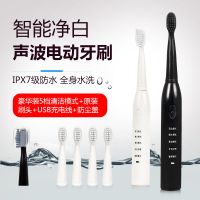 [优先发货][5档模式]成人电动牙刷USB充电款电动牙刷成人儿童自动牙刷软毛 黑白情侣2支装+8刷头+充电线