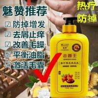 [优先发货][800ML大瓶]魅赞老姜王生姜洗发水防脱发密发增发控油去屑止痒 魅赞大瓶生姜洗发水800ML