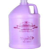 [优先发货]5000ML送压嘴宾馆洗浴发廊美发花香大瓶大桶洗发水护发素沐浴露 沐浴露大桶装