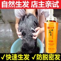 [优先发货][生发神器]生姜洗发水防脱发生发洗发露去屑控油姜汁350g男女士