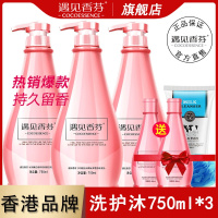 [优先发货]正品遇见香芬COCO香氛洗发水沐浴露护发素套装去屑膏持久留香 750ml洗+护+沐