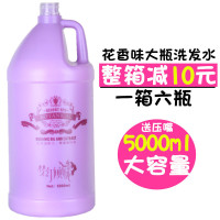 [优先发货]宾馆洗浴发廊理发店专用花香大瓶大桶洗发水乳露5000ml男女洗头膏 其他