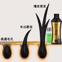 [优先发货][小红书推荐]生姜洗发水防脱发 头发自然生长速度 变密变多变长 家庭专用套装 其他/other