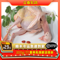 【顺丰冷链发货】立春生鲜 新鲜乳鸽现杀现发约300g/只