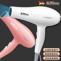 发廊家用电吹风机大功率负离子护发理发店不伤发宿舍用学生吹风筒