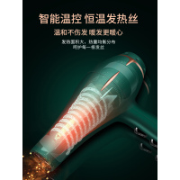 电吹风机家用负离子护发小型大功率冷热风不伤发网红吹风筒宿舍用