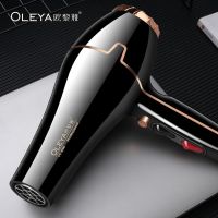 [吹风机强风大功率]电吹风机家用大功率理发店大风冷热风筒