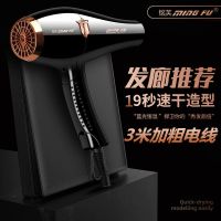 电吹风机大功率家用理发店大风吹头发女士发廊专用冷热风负离子夫