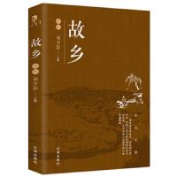      故乡评析经典世界名著文学小说学生课外阅读鲁迅文集 现当代励志文学小说新课标初中生推荐阅读  书排行榜世界著