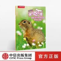      谁能吃掉谁 呼伦贝尔温性草原食物链大揭秘 中国特辑 了解自然奥秘地理读物书籍 儿童阅读科学森林世界 青少年