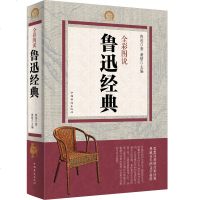 鲁迅经典全解 中国当代现代文学 鲁迅文集杂文散文鉴赏 鲁迅全集呐喊 彷徨 狂人日记 阿Q正传 祝福 孔乙己 药