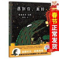 正版 遇到你,真好 少儿图书绘本3-6周岁儿童绘本故事书 幼儿经典绘本幼儿园教育图书 宝宝睡前故事儿童宝宝情商启