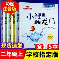 正版 全套5册快乐读书吧二年级课外书必读上小学生注音小鲤鱼跳龙孤独的小螃蟹一只想飞的猫小狗的小房子歪脑袋木头桩图