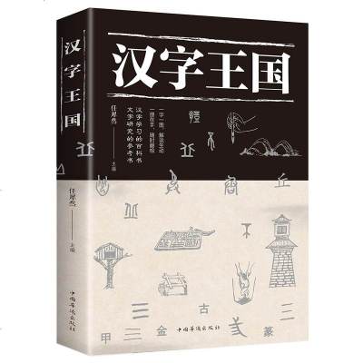 正版 汉字王国 了数百个现活中常见常用的汉字中国现当代随笔讲述中国文字的起源 说文解字画话说汉字1000个汉