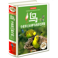 正版鸟类:全世界130种鸟的彩色图鉴 全彩珍藏版野外观鸟手册中国鸟类图志世界鸟类图谱国家地理儿童动物世界大百科书籍