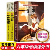 全套3册小英雄雨来正版童年高尔基爱的教育版原著完整版老师推荐小学生四五六年级课外阅读书籍小升初必读儿童成长励志故事书
