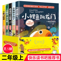 快乐读书吧丛书二年级上全套小鲤鱼跳龙二年级注音版5册一只想飞的猫孤独的小螃蟹小狗的小房子小学生二年级课外书儿童文学