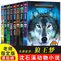 沈石溪动物小说全集鉴赏全8册猴狼王梦象豹王火焰冰月老师指定版读后感小学生必读书目三四五六年级儿童文学小说课外阅读书籍