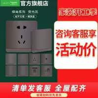 [官方旗舰店]施耐德电气开关插座绎尚荧光色北欧风86型大面板家用墙壁式10A五孔一开双控弱电空调USB电源插座