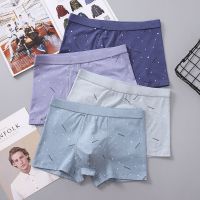 初中学生男士内裤高中生棉质青少年内裤男生平角裤四角裤透气潮威珺
