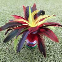 [比赛专用]大号毽子成人儿童学生鸡毛花毽踢鹅毛毽球健身运动